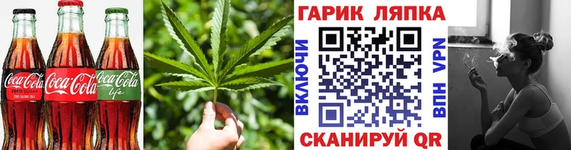 Canna-Cookies марихуана  где купить   МЕГА   Лаишево 