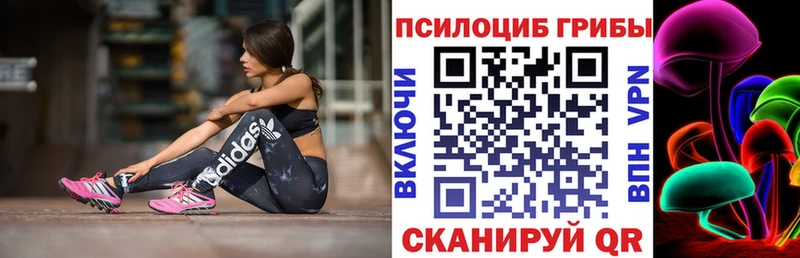 магазин    Лаишево  Галлюциногенные грибы GOLDEN TEACHER 